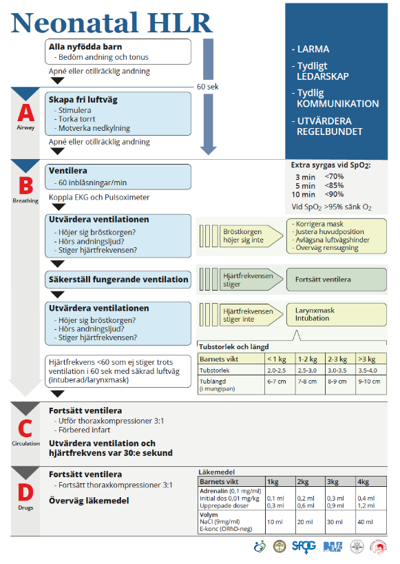 Flödesschema Neonatal HLR