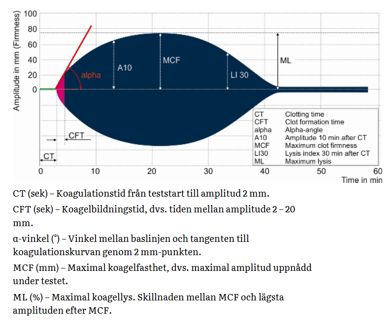 Normal ROTEM-kurva